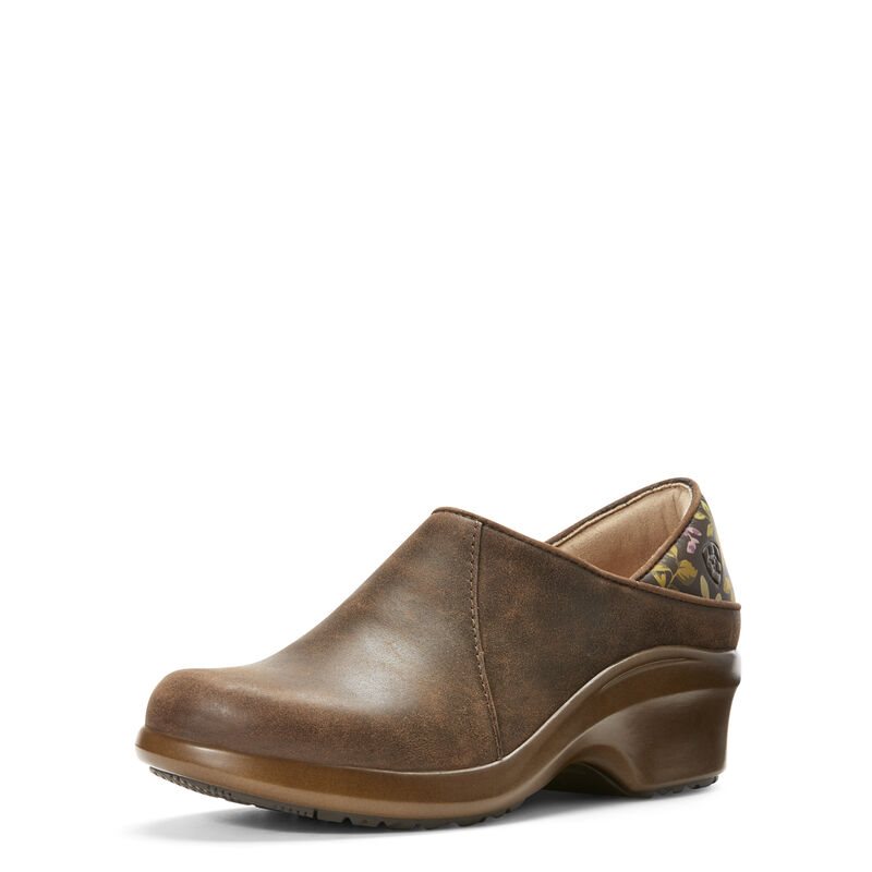 Ariat Hera Expert - Klompen Schoenen Bruin Dames - 14853-766